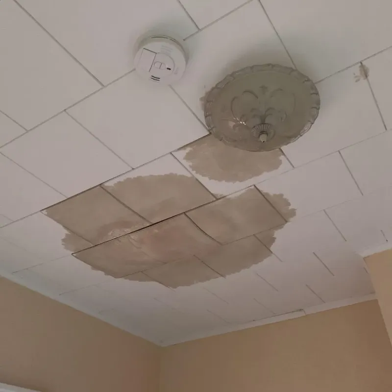 Ceiling Water Damage Repair in Palo Alto, PA