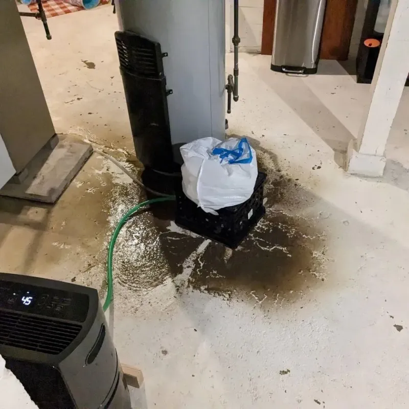 Sewage Backup Cleanup Service in Palo Alto, PA